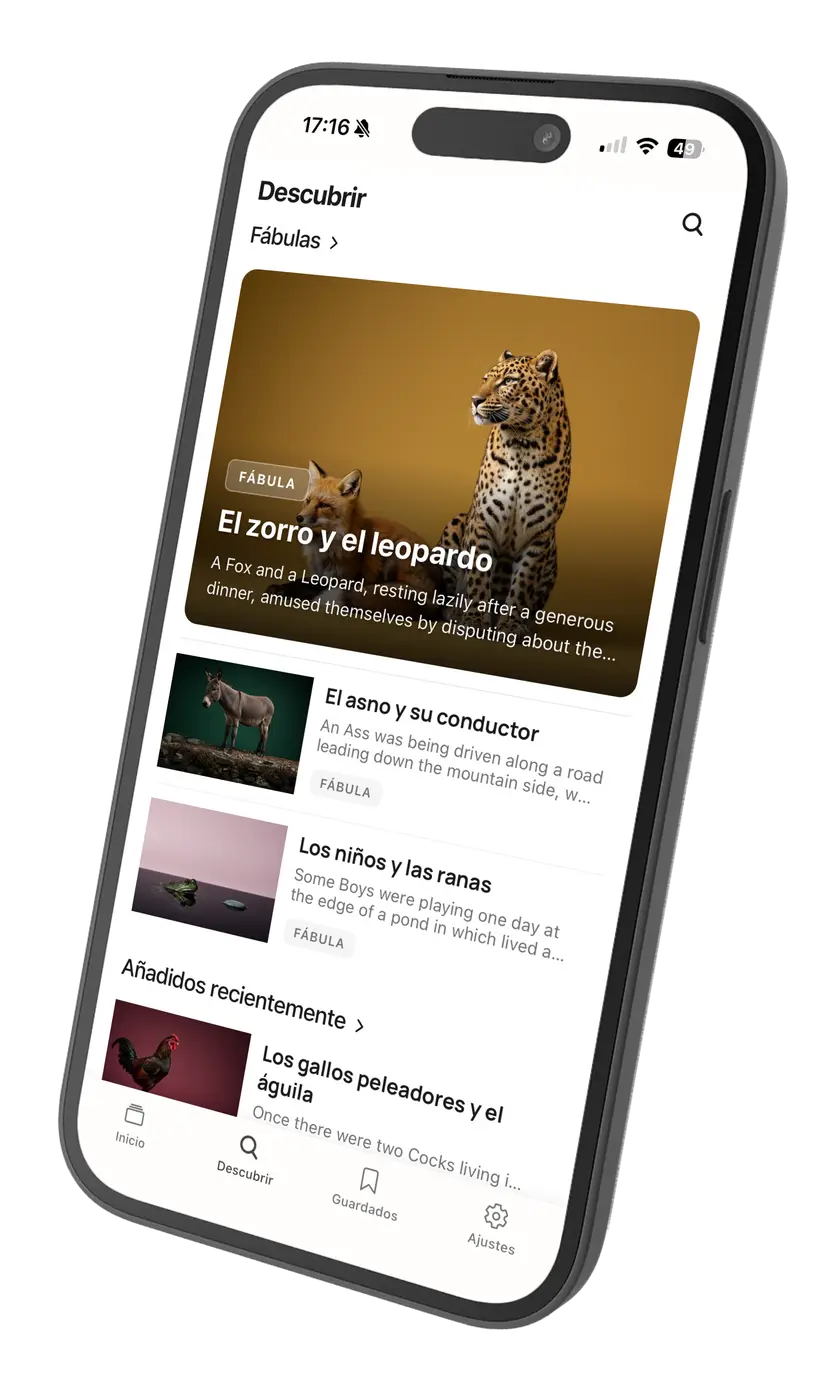 Discover feed and article reading view