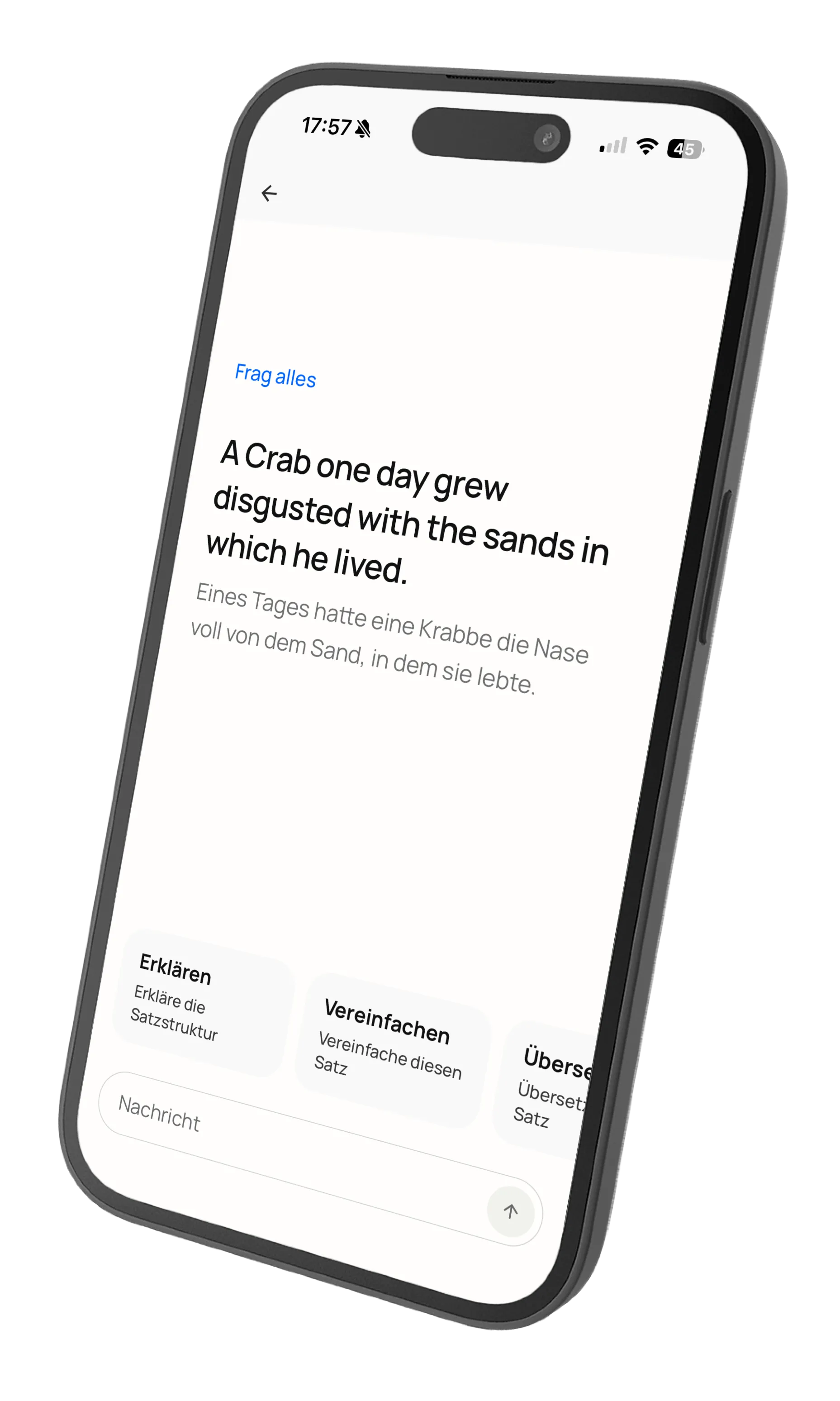 Chat conversation asking about grammar