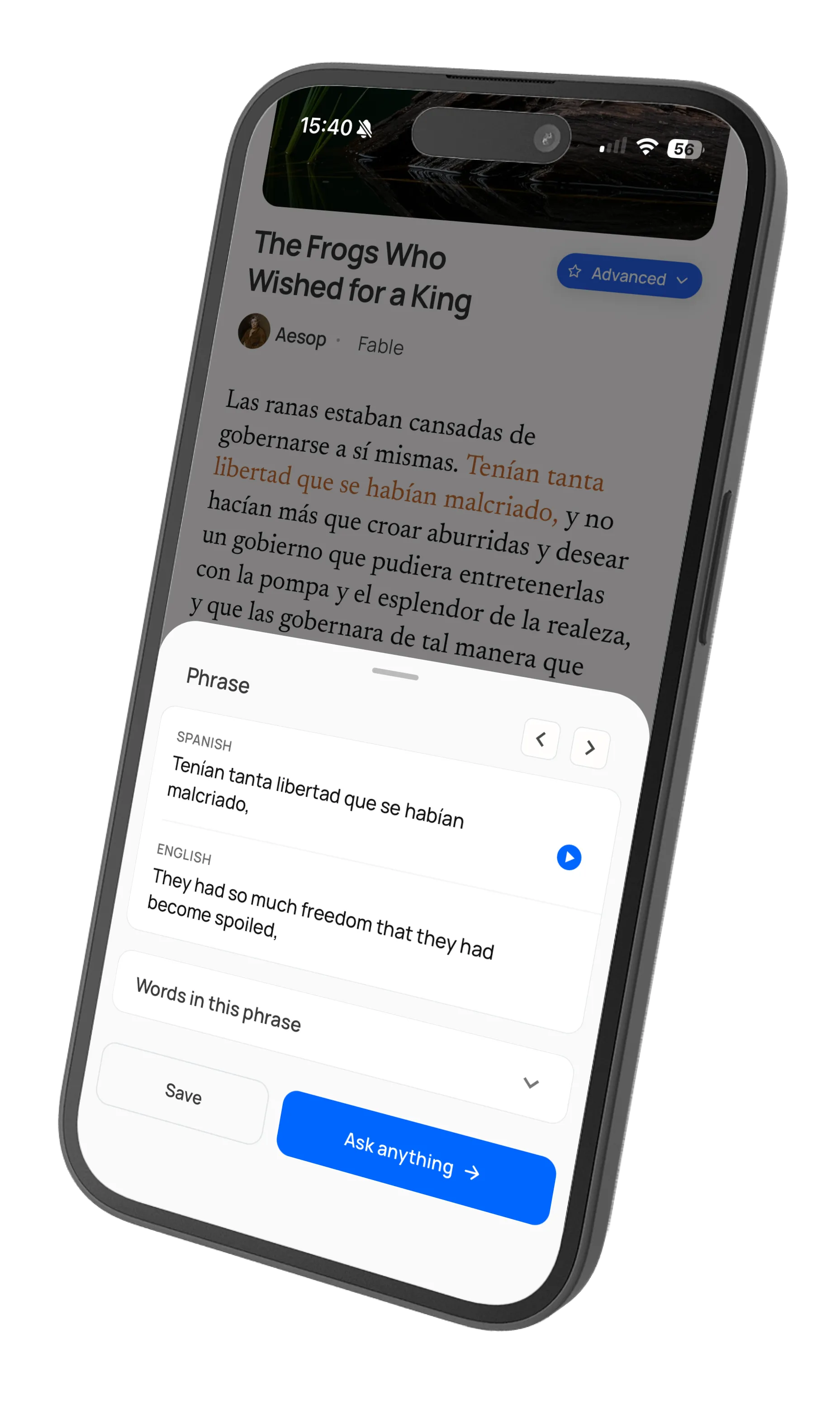 Word tapped showing translation and grammar details