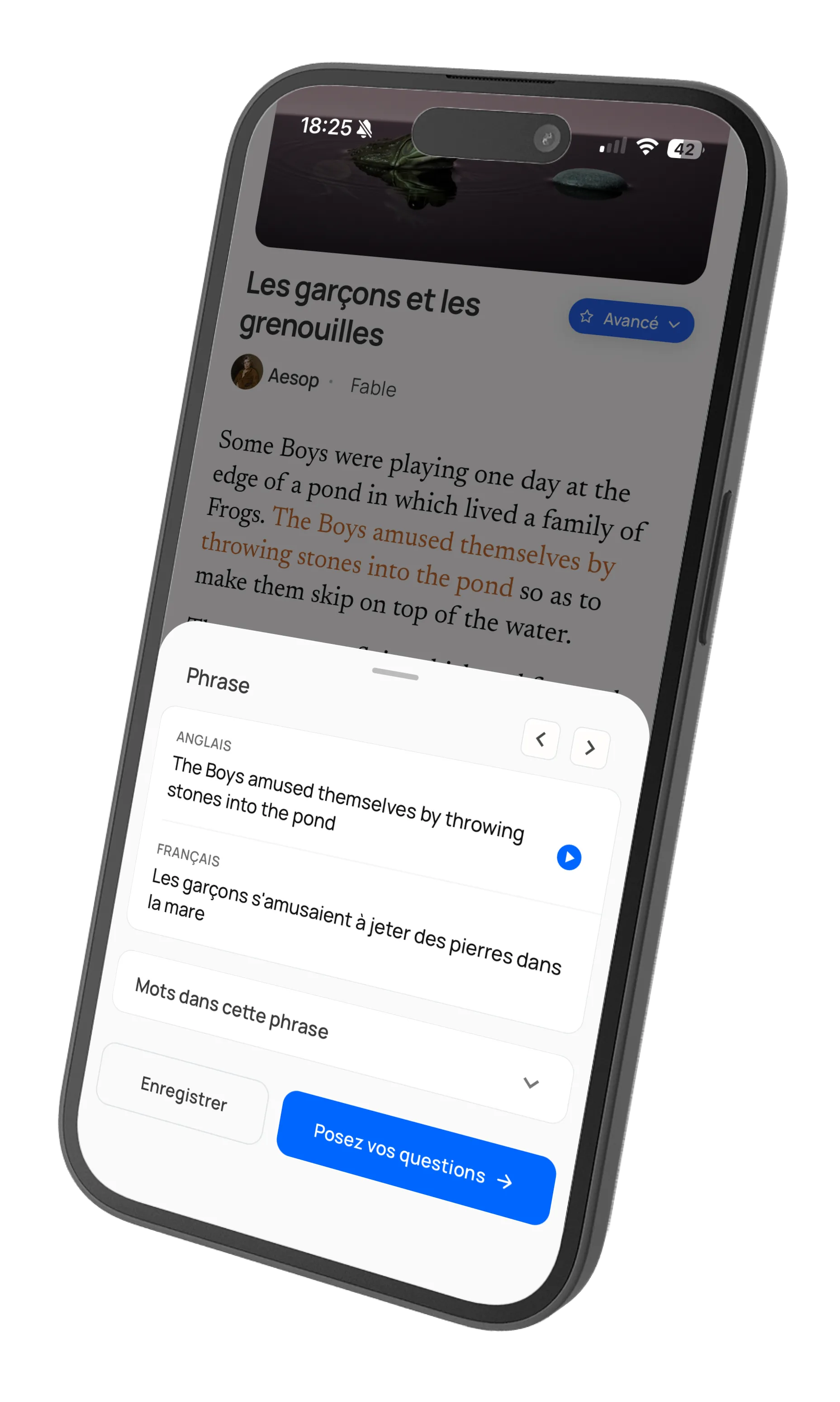 Word tapped showing translation and grammar details