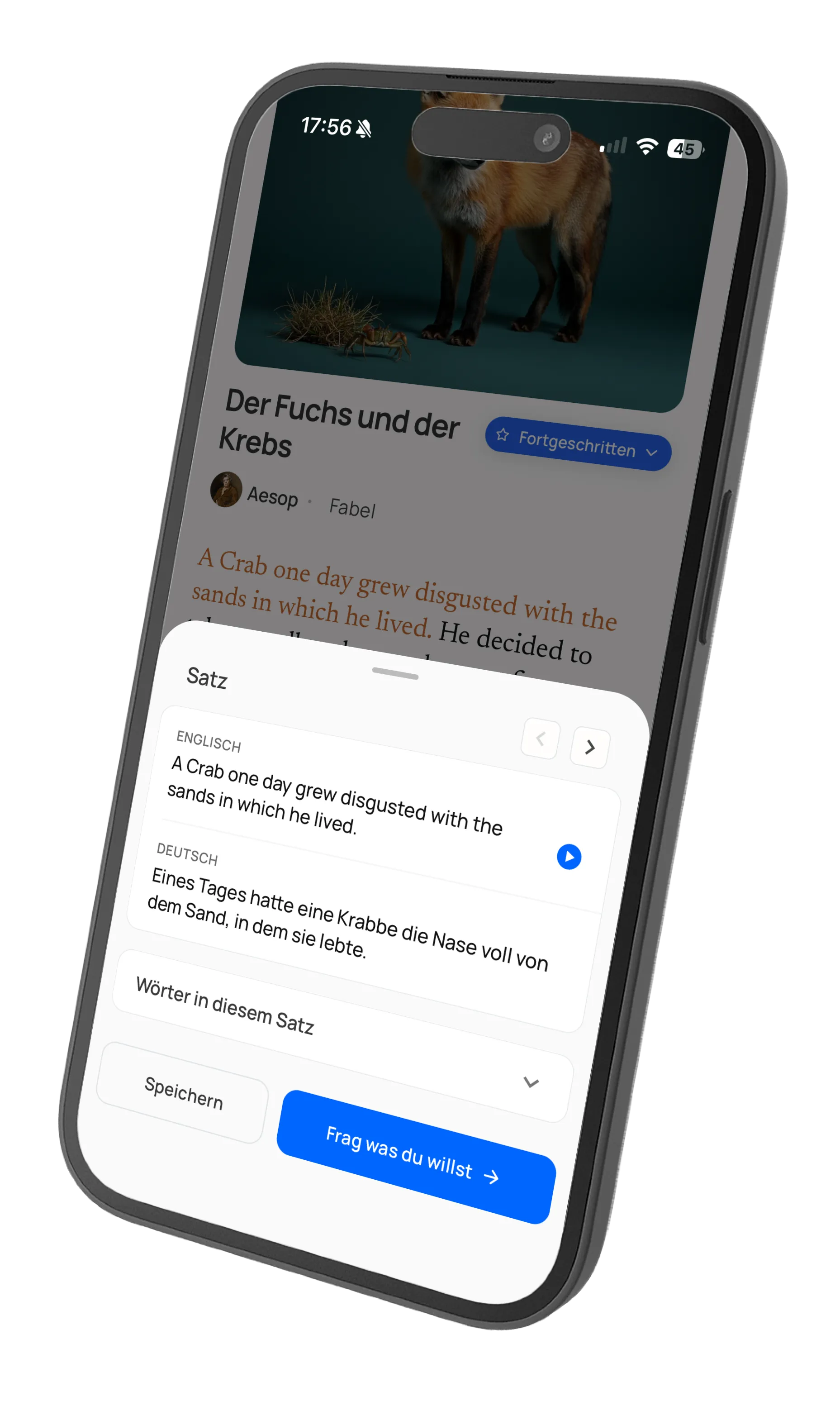 Word tapped showing translation and grammar details