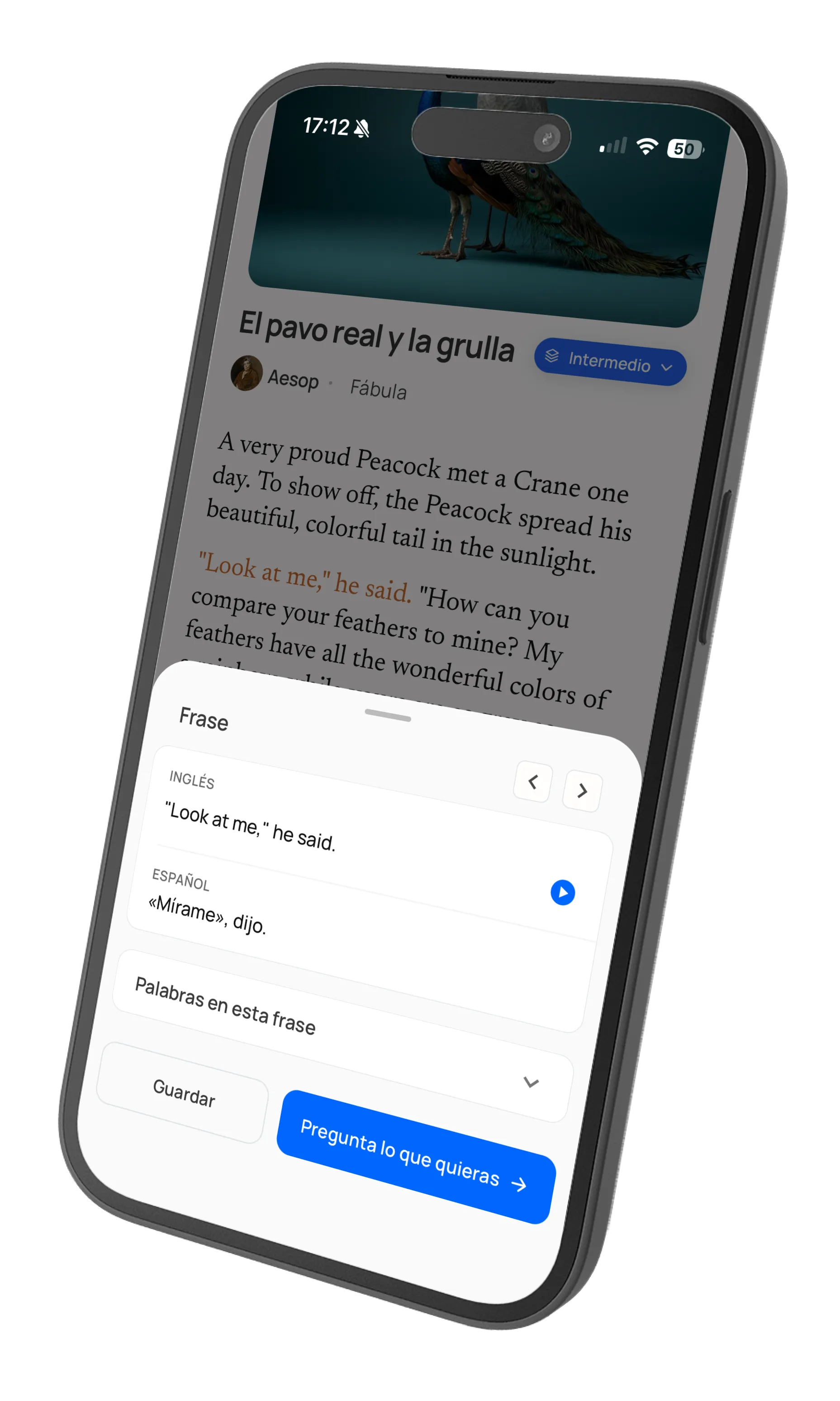 Word tapped showing translation and grammar details