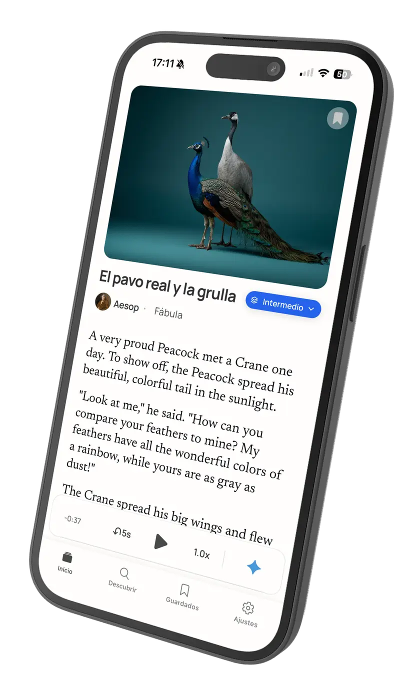 Discover feed and article reading view