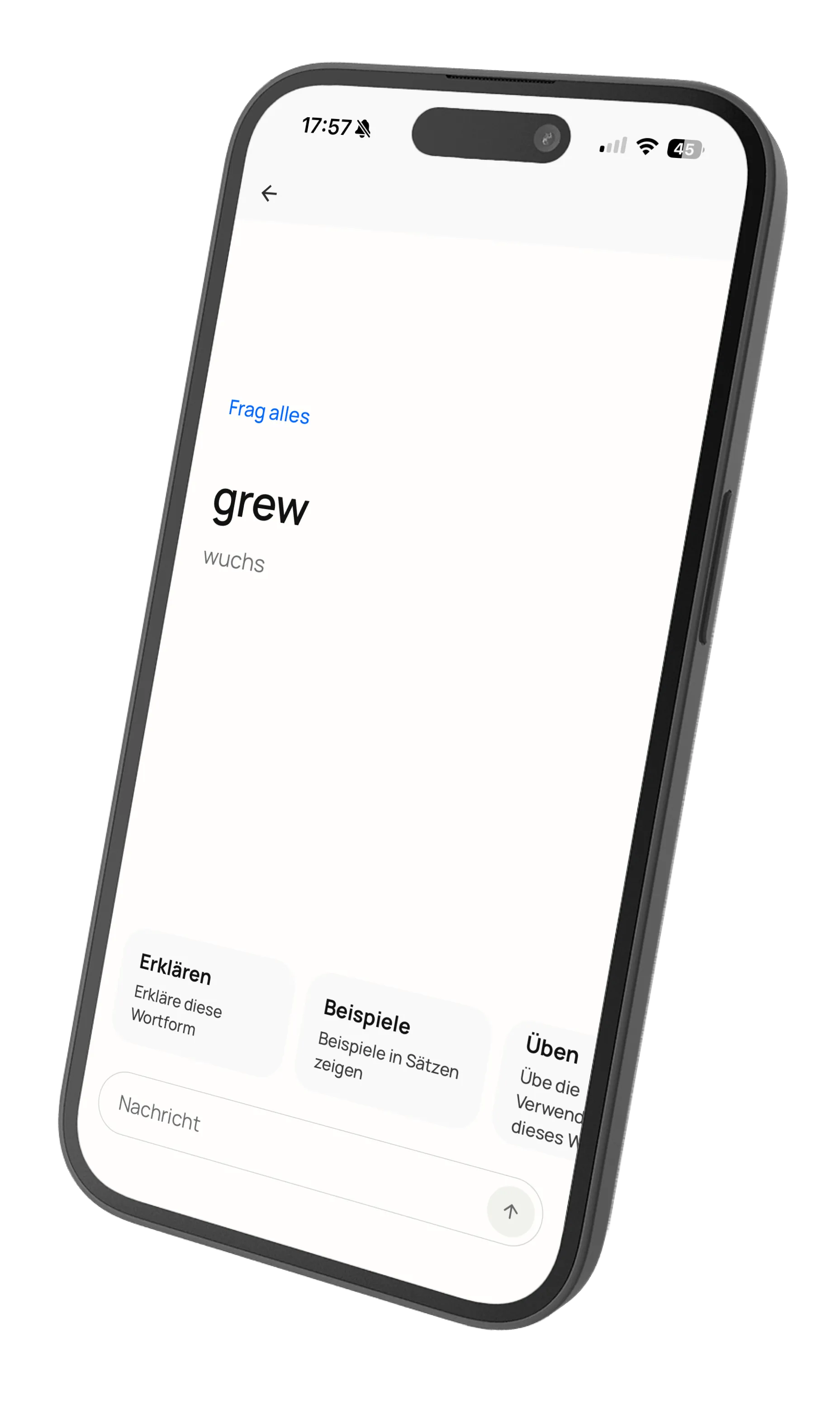 Chat conversation asking about grammar